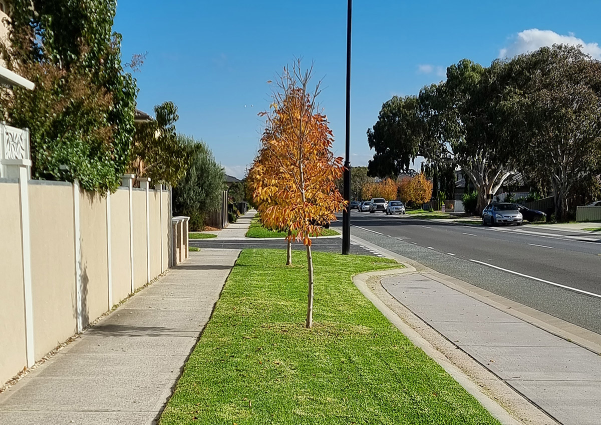 https://smartcutlawnmowing.com.au/wp-content/uploads/2022/08/smaill-tree-cutting.jpg